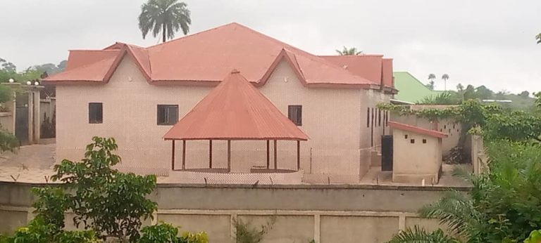 NZérékoré : Plus de 300 individus logés dans une cour fermée arrêtés par les forces de sécurité