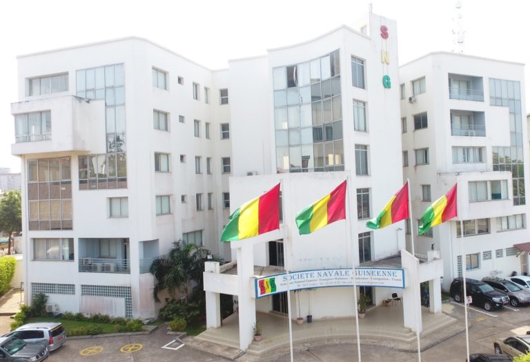 Société Navale Guinéenne : Bineta Diallo, la nouvelle DG sur l’immensité chantier qui l’attend