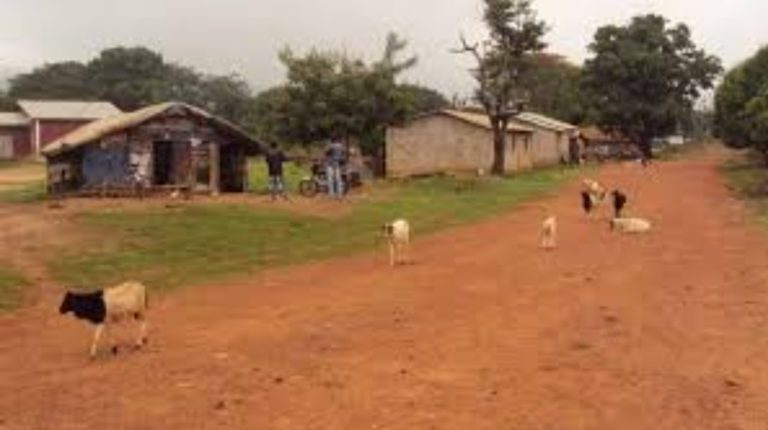 Diari-Labé : un jeune enceinte une fille de 14 ans après l’avoir demandée en mariage Diari-Labé : un jeune enceinte une fille de 14 ans après l’avoir demandée en mariage