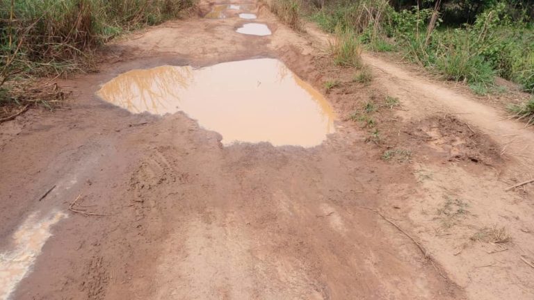 Lola : Des citoyens alertent sur la dégradation très poussée de la route Lainé-Foumbadou  Lola : Des citoyens alertent sur la dégradation très poussée de la route Lainé-Foumbadou