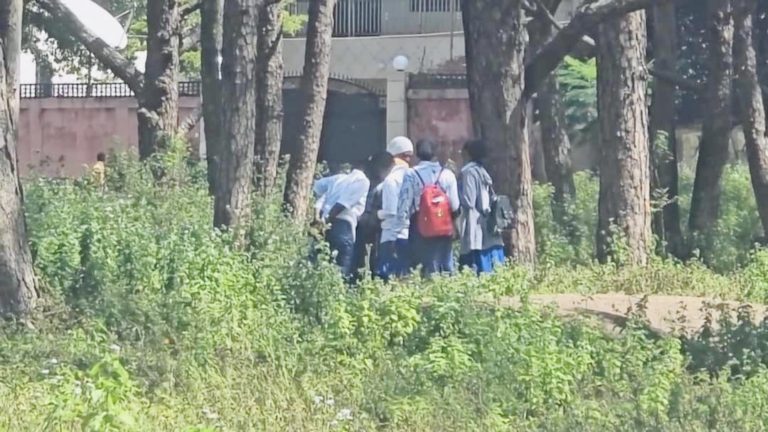 Labé : quand les élèves désertent les classes pour les “sapins de Tata”