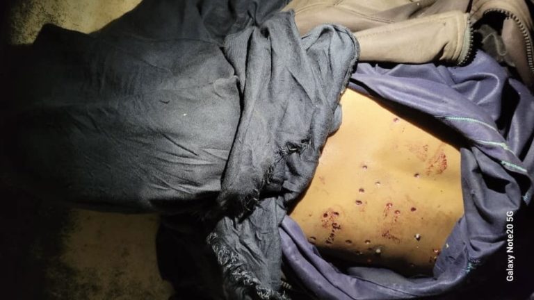 Lola : nouvelle violence entre éleveurs et agriculteurs, un bouvier tué et un autre blessé grave 