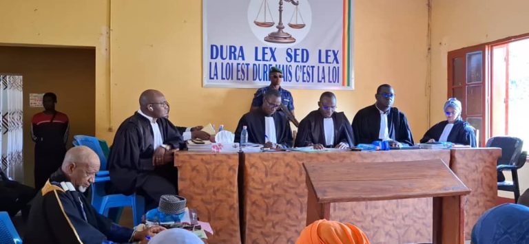 TPI de Labé : Baldé Nova condamné à 5 ans de prison pour viol sur une fillette de 9 ans
