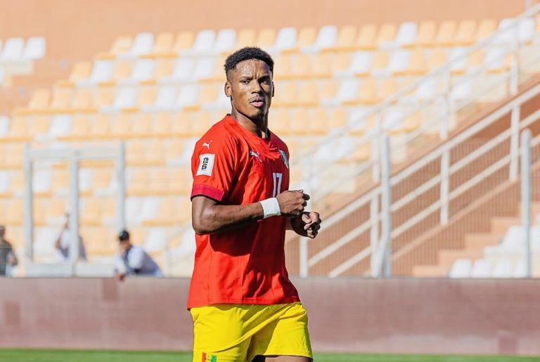 Syli National : deux joueurs forfaits, Julien Janvier en renfort 