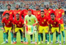 Syli National : deux matchs amicaux contre le Togo et le Benin en mars