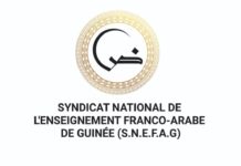 Guinée: Le SNEFAG alerte sur la situation carcérale alarmante des étudiants guinéens en Égypte