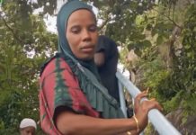 Labé : une femme meurt après avoir été frappée par la foudre à Falo Bowè
