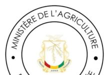 Ministère de l’Agriculture-PDRIRHFG 2/AMI : Pour le recrutement du personnel complémentaire de l’Unité de Gestion du Projet (UGP) et des Unités d’Exécution du Projet (UEP)