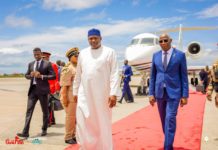 Diplomatie : le président gambien Adama BARROW est arrivé ce mercredi à Conakry