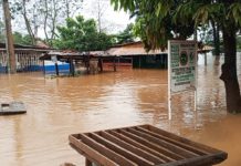 N’zérékoré sous les eaux : plusieurs quartiers inondés après de fortes pluies
