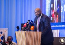Djiba Diakité : « La pêche fait vivre des milliers de familles »