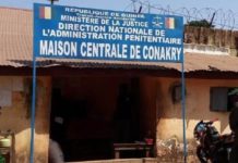 Guinée : ce qu’il faut savoir de la grâce présidentielle accordée à 217 détenus